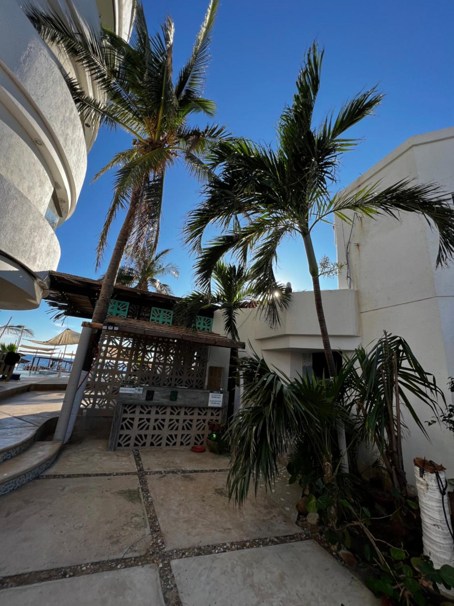 Condominio Agave Del Mar Coyuca de Benitez Εξωτερικό φωτογραφία